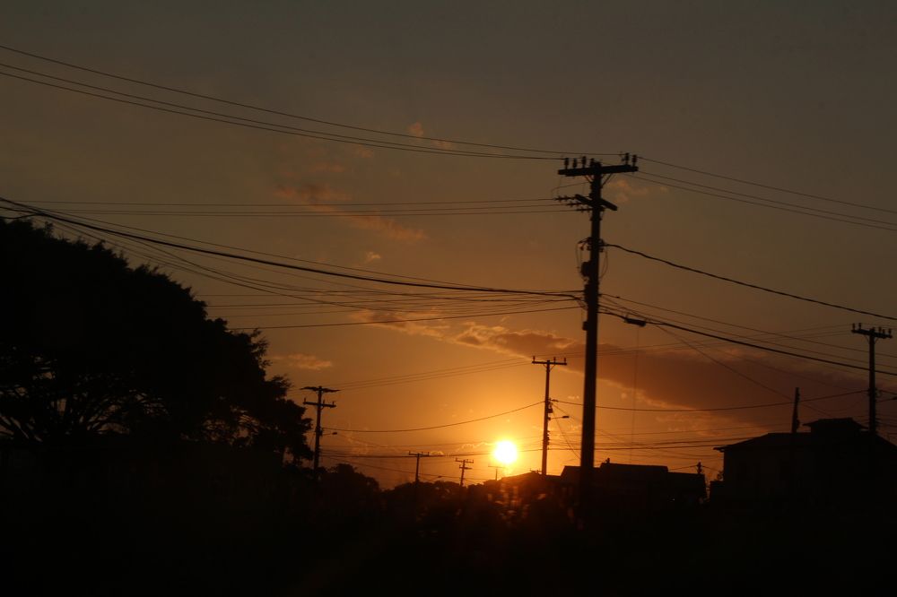 Photograph by Tatiana Barthem