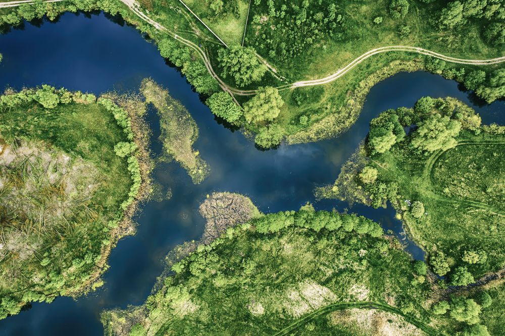 Photograph by Roksana Bashyrova