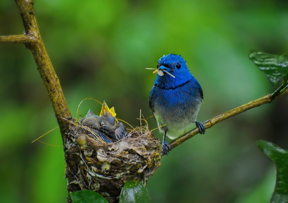 Photograph by Masum Mr