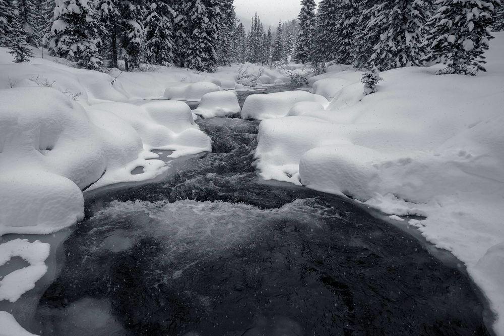 Photograph by Олег Тетерин