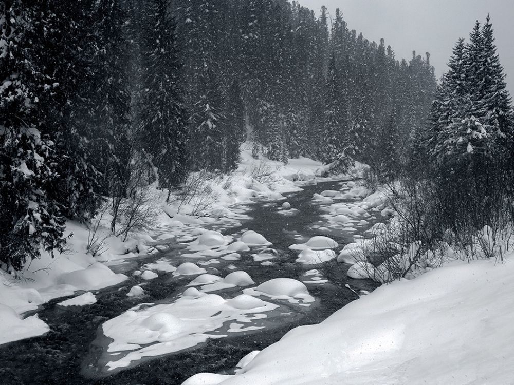 Photograph by Олег Тетерин