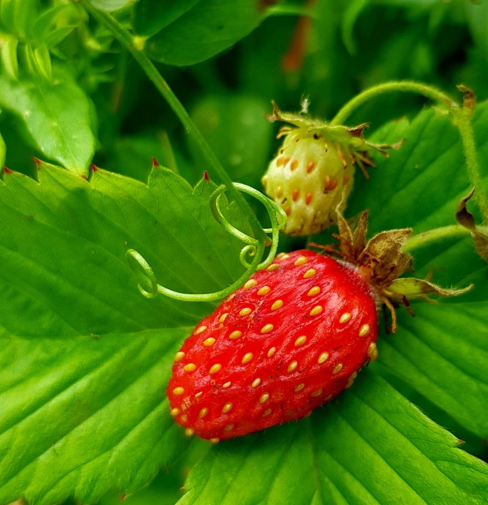 Photograph by Елена Мизина