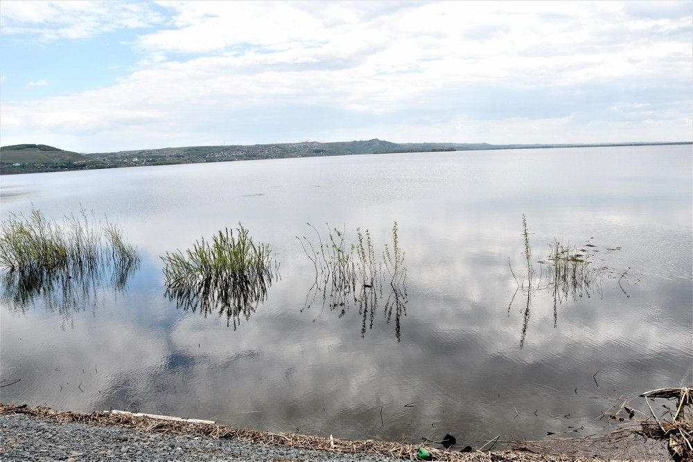 Photograph by Галина