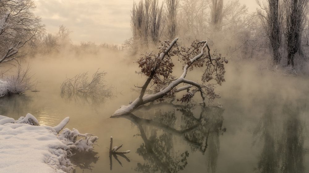 Photograph by Alexander Plekhanov