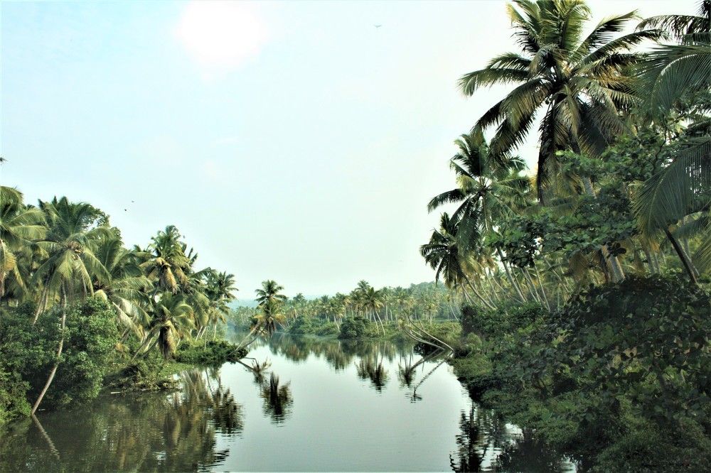 Photograph by Галина