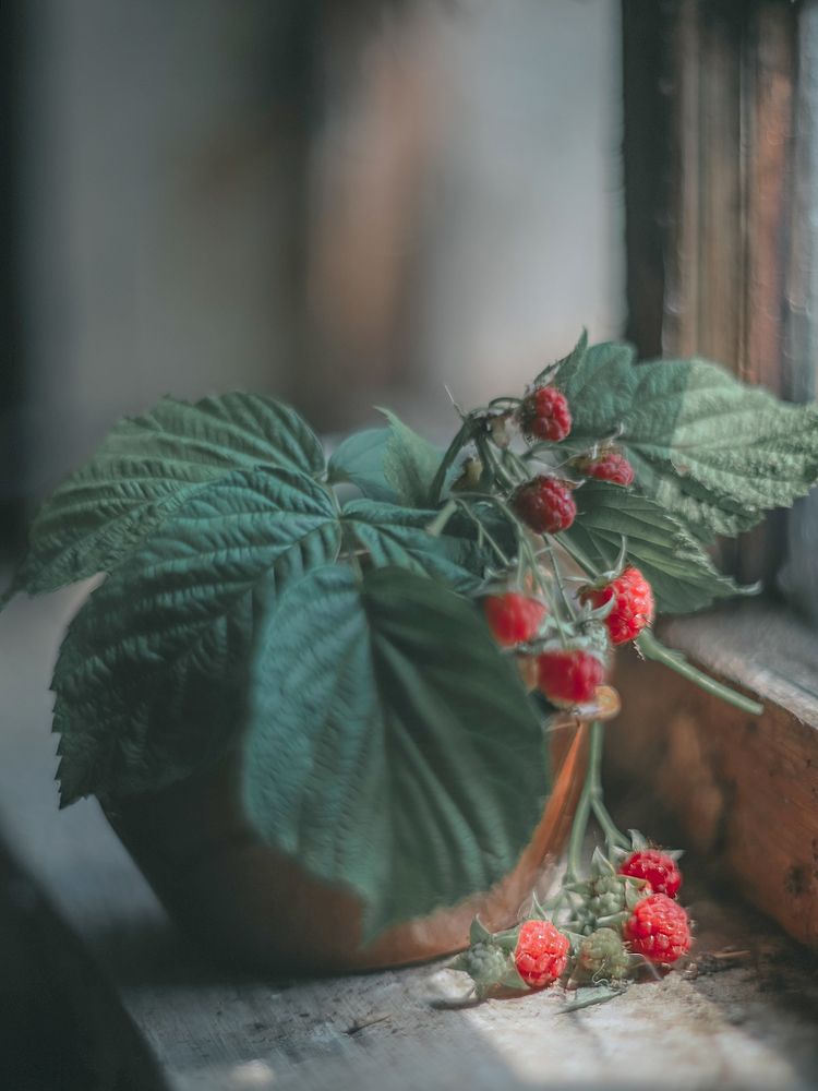 Photograph by Ольга Мурзина