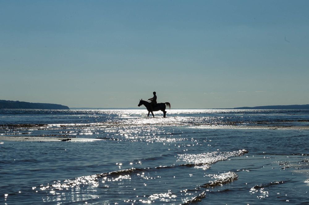 Photograph by Андриян Чаркин