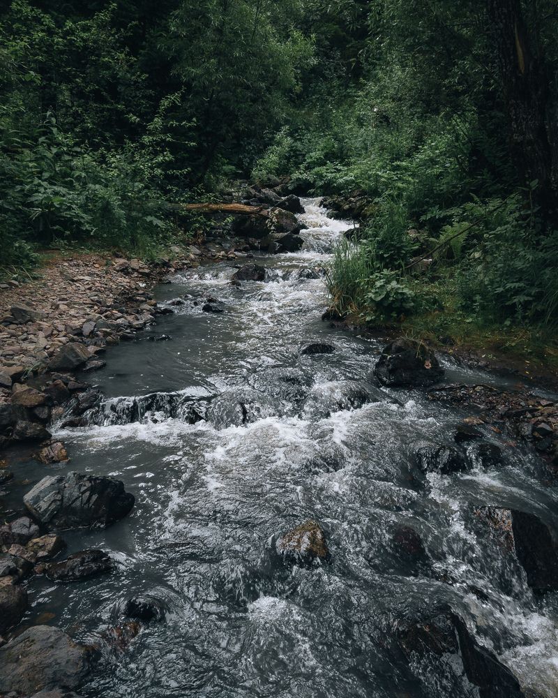 Photograph by Ярослав Саватейкин