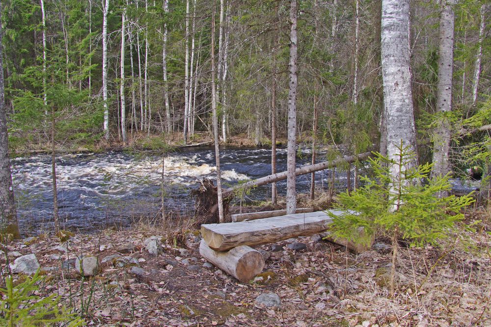 На берегу Тохмайоки