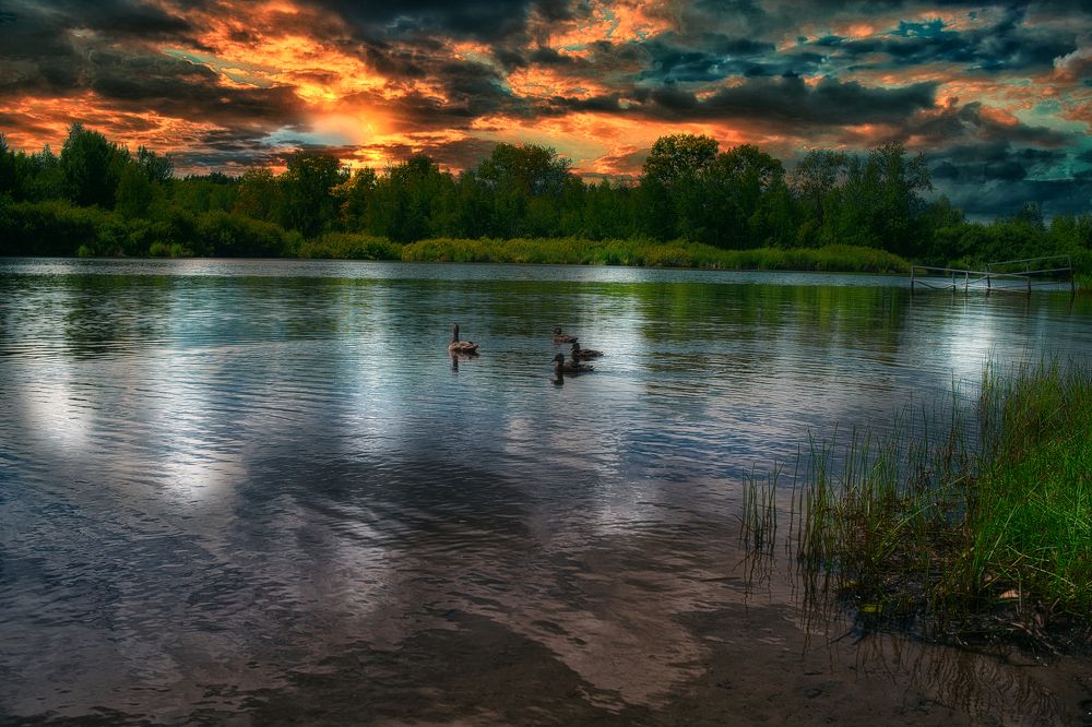 Photograph by Андрей Родионов