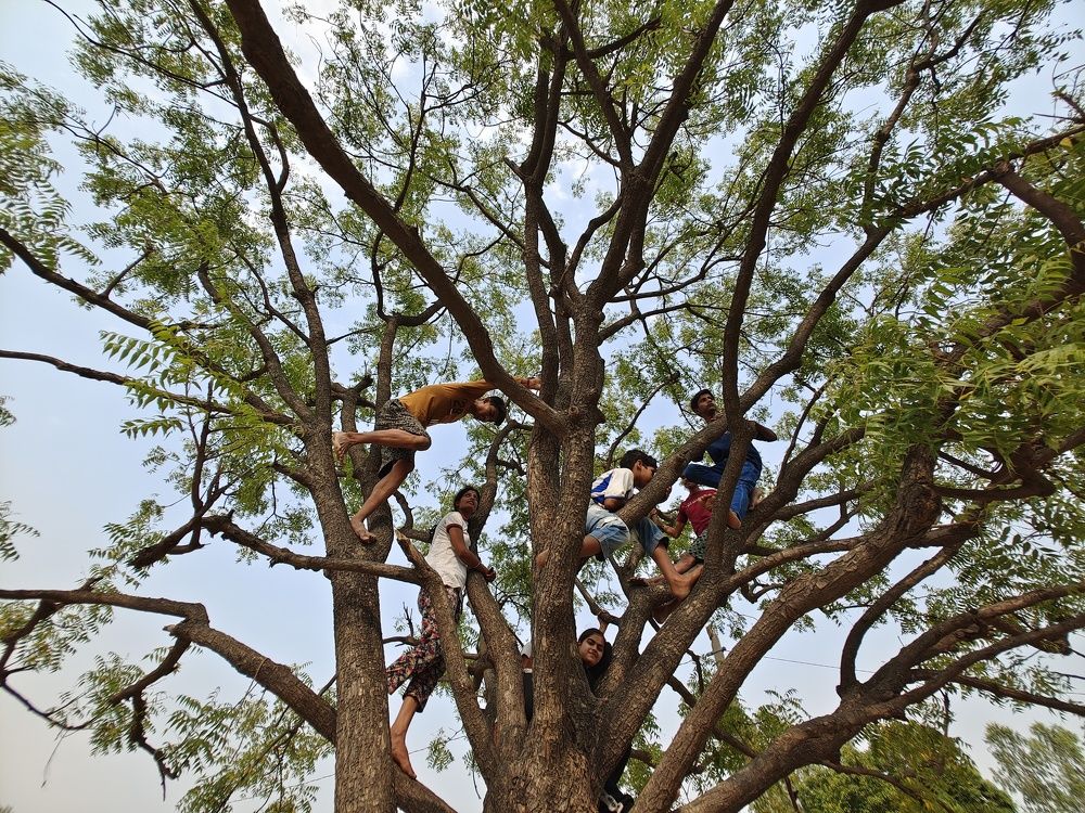 Фотография автора Shashank Shekhar