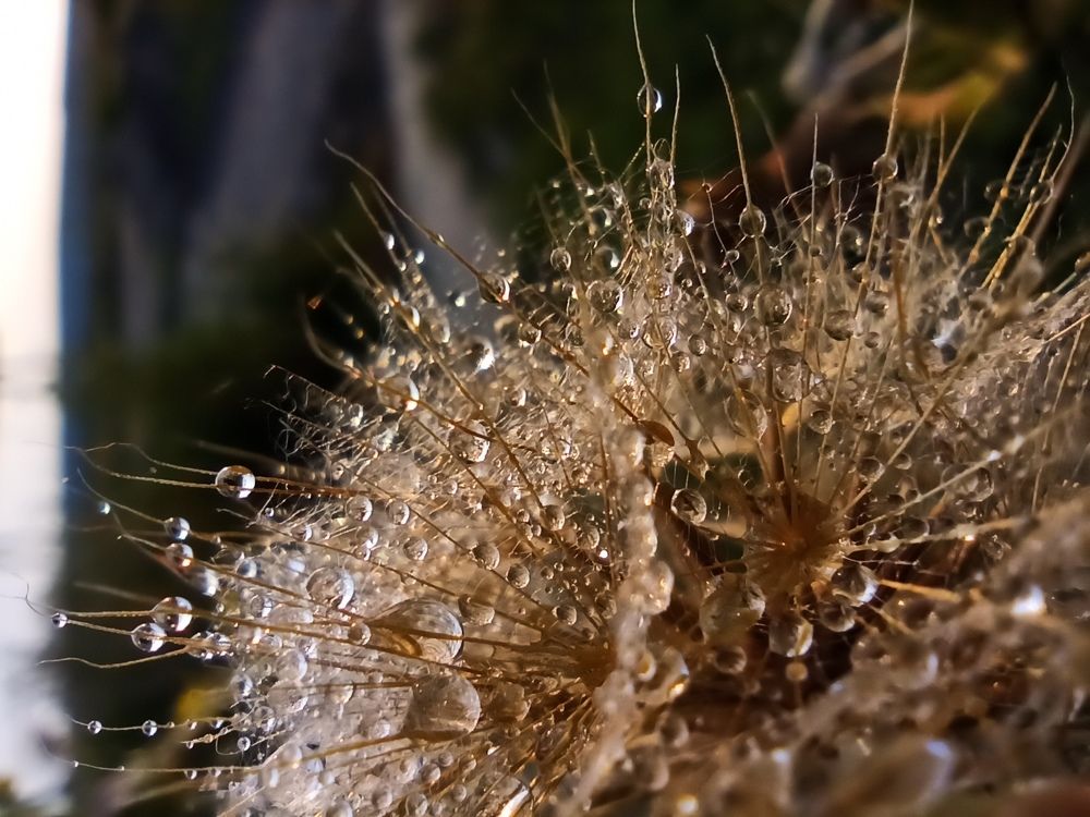 Фотография автора Татьяна Долгушева