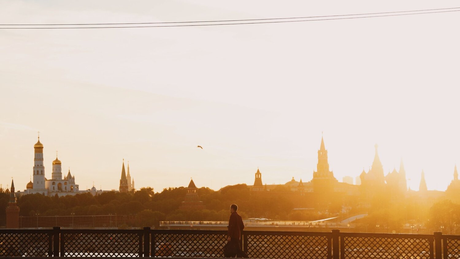 Photo #6300921