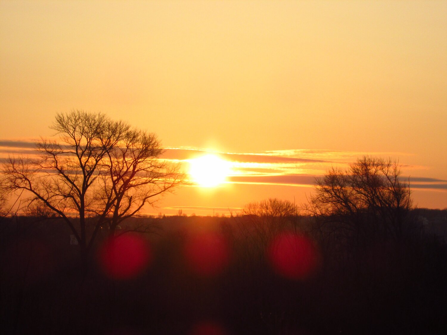 Photo #6300922