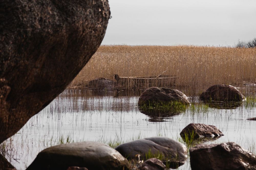 Photograph by Пирожков Александр