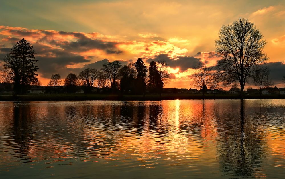 Photograph by Elena Wymann