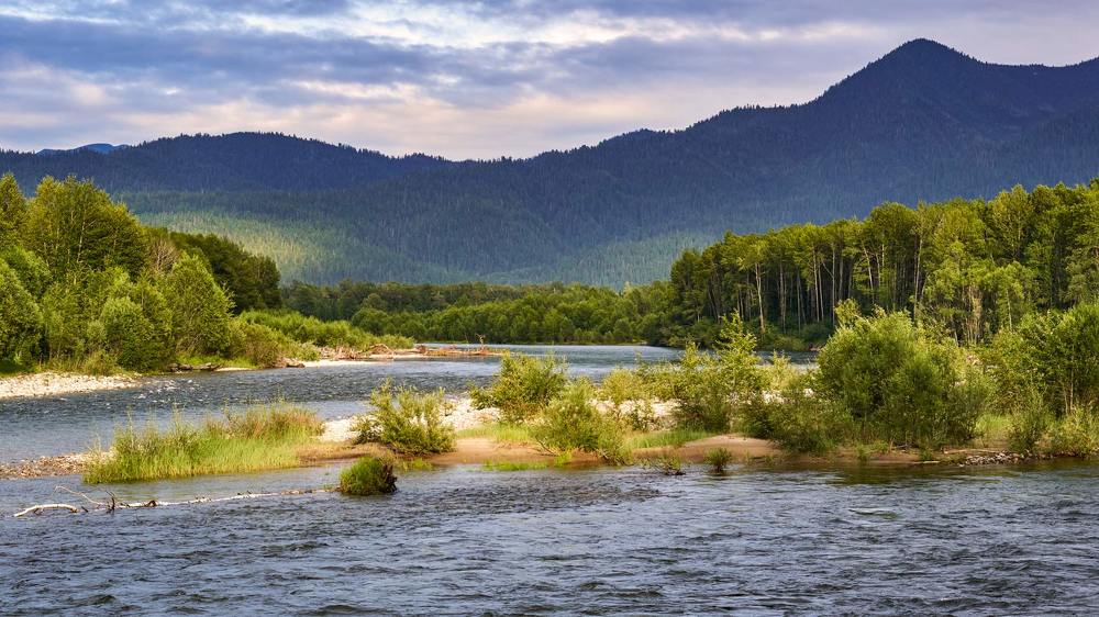 Фотография автора Сергей Низовцев