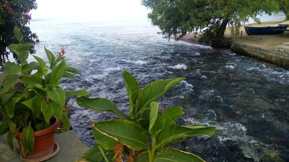 Photograph by Bojan Nikolovski