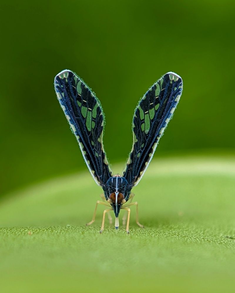 Photograph by Sijo Siby