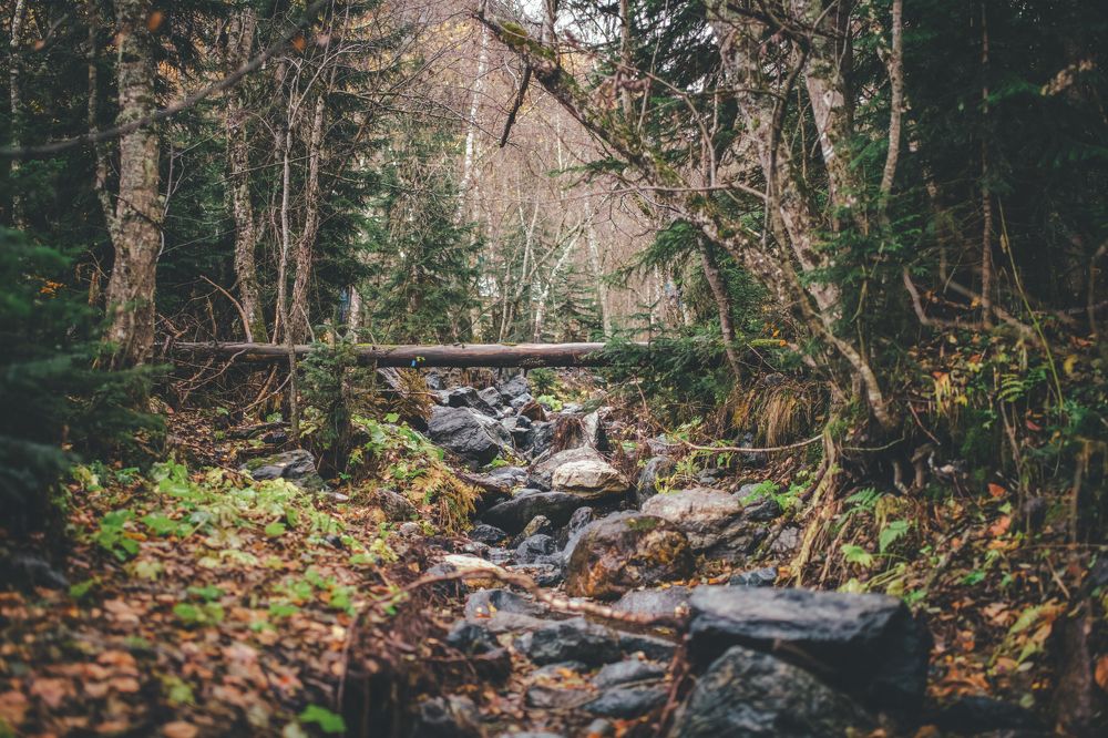 Photograph by Алена Спивак