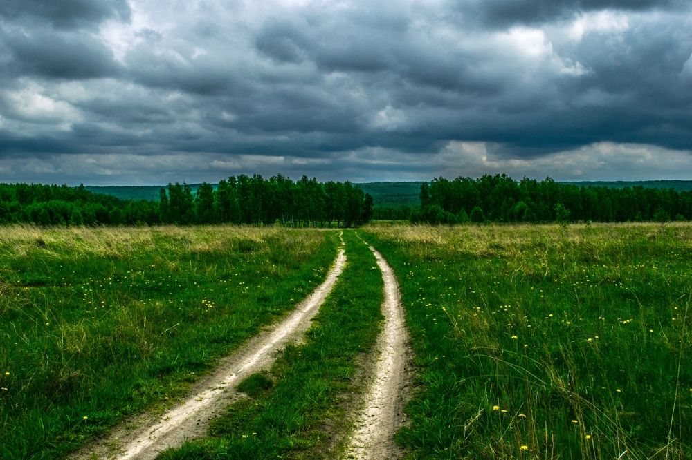 Полевая дорога