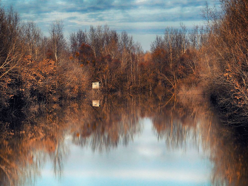 Photograph by Adrian Eperjessy