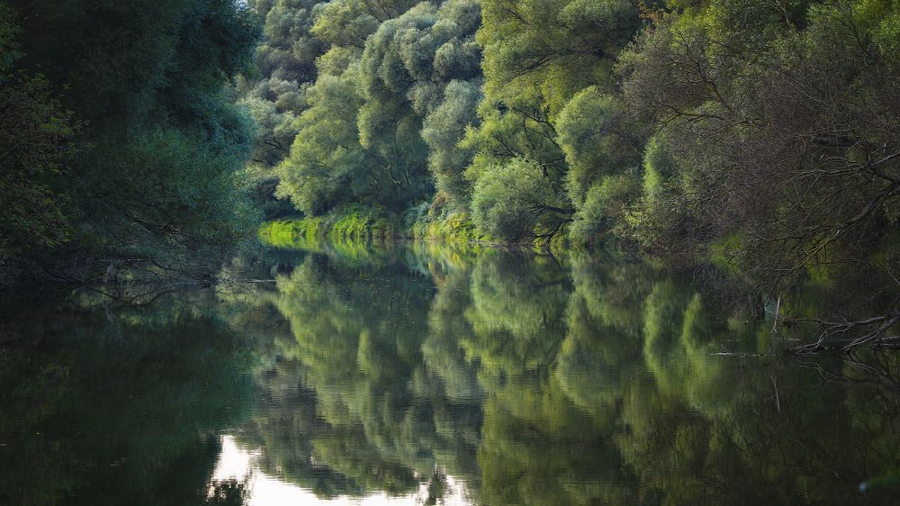 Photograph by Adrian Eperjessy