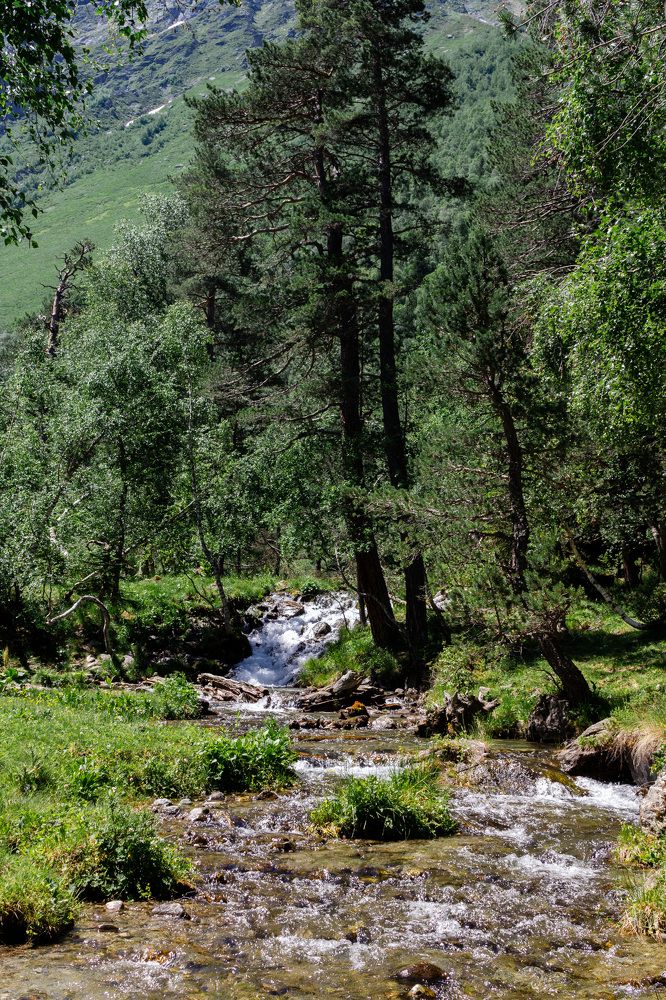 Photograph by Маргарита Таценко