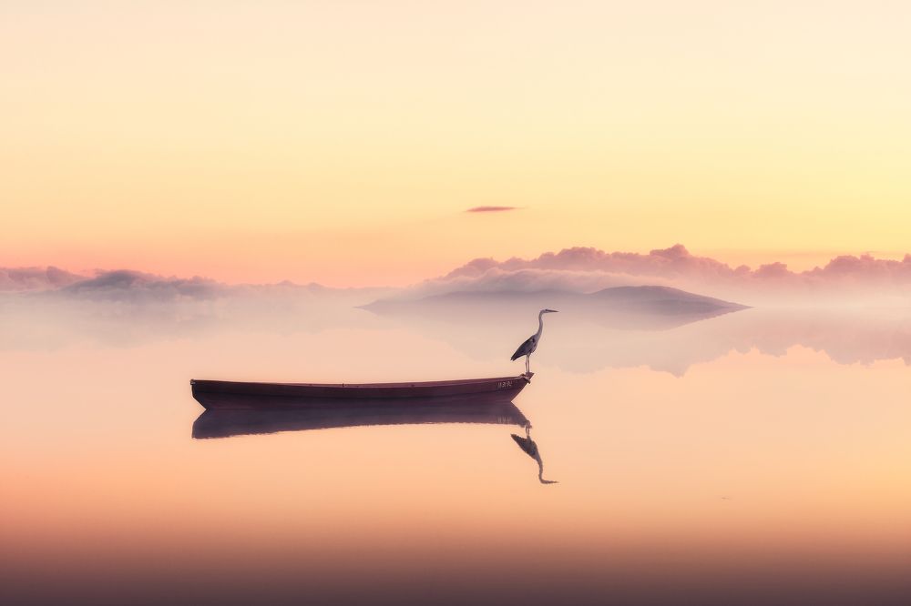 Photograph by Антон Шваин