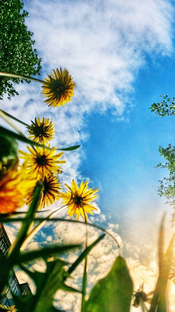 Краски лета