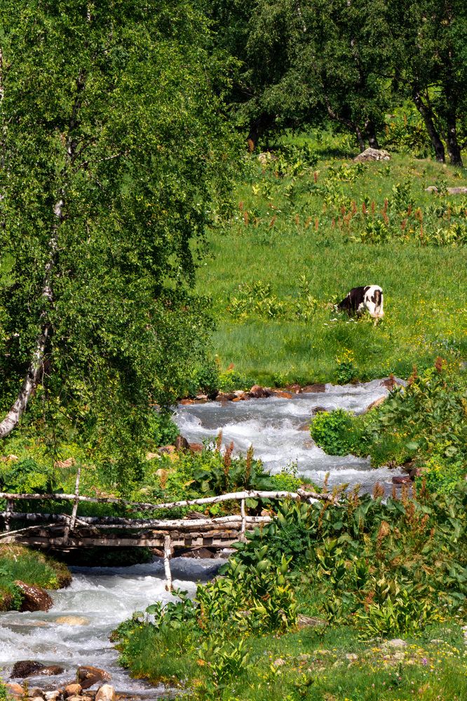 Photograph by Маргарита Таценко