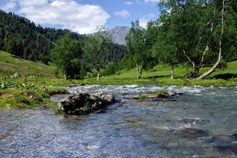 Photograph by Маргарита Таценко