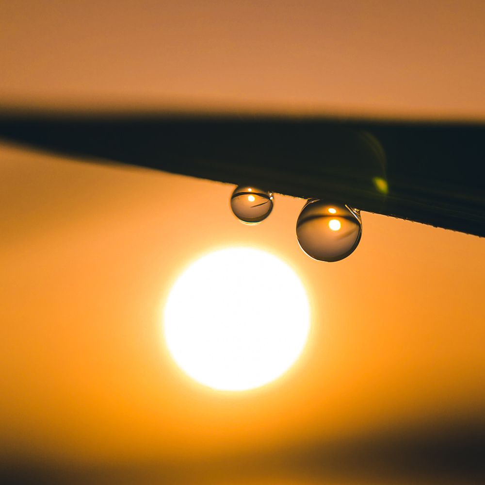 Photograph by Jodel Balingbing Baltar