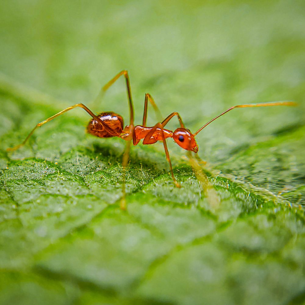 Photograph by Jodel Balingbing Baltar