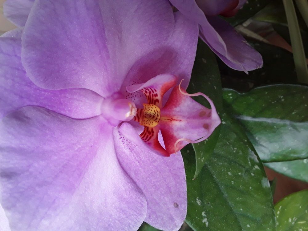Photo #6301297