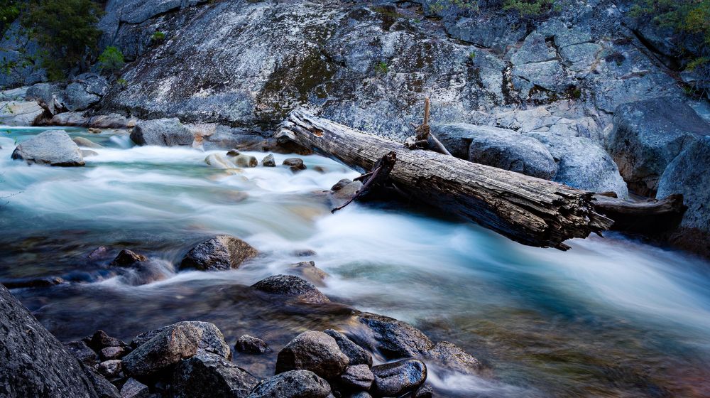 Being part of the nature