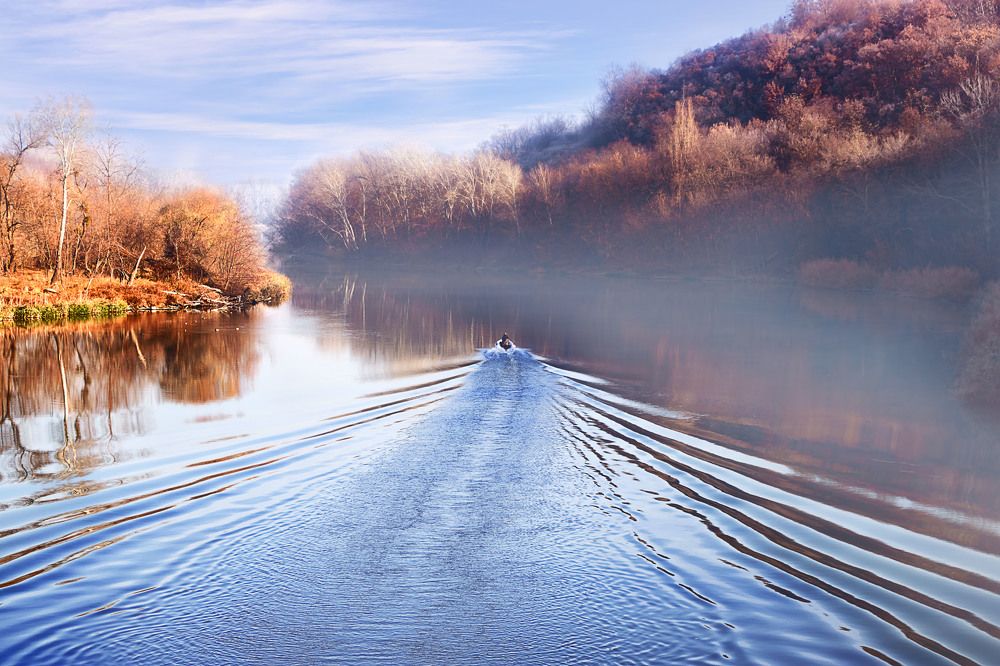 Photograph by Veronika Pershyna