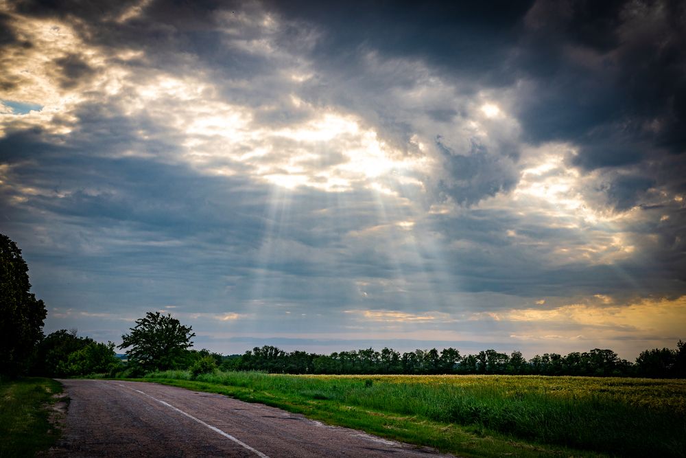 Photograph by Богдан Прохоренко