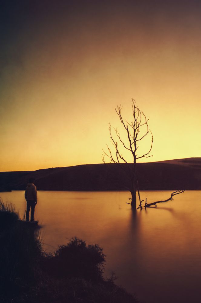 Photograph by Kolli Imed