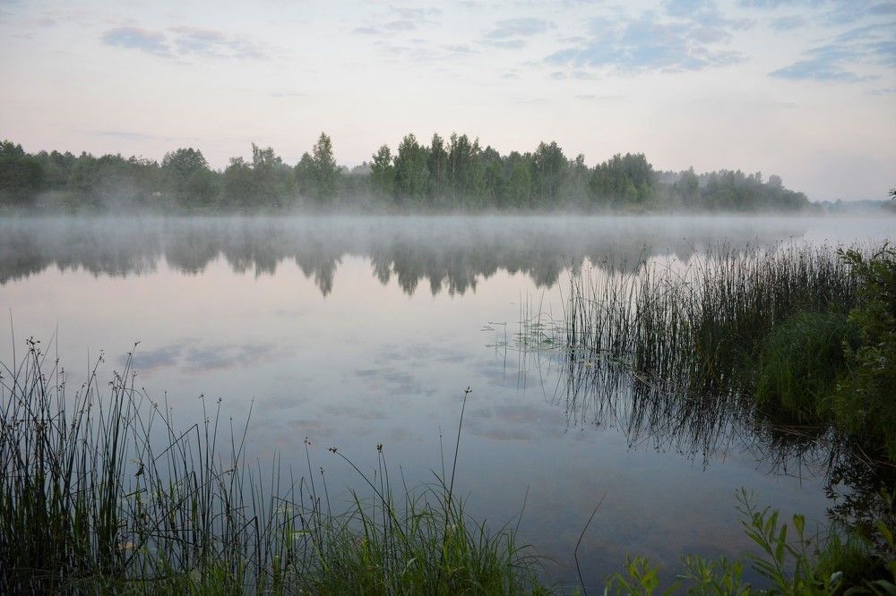 Тихая гавань.