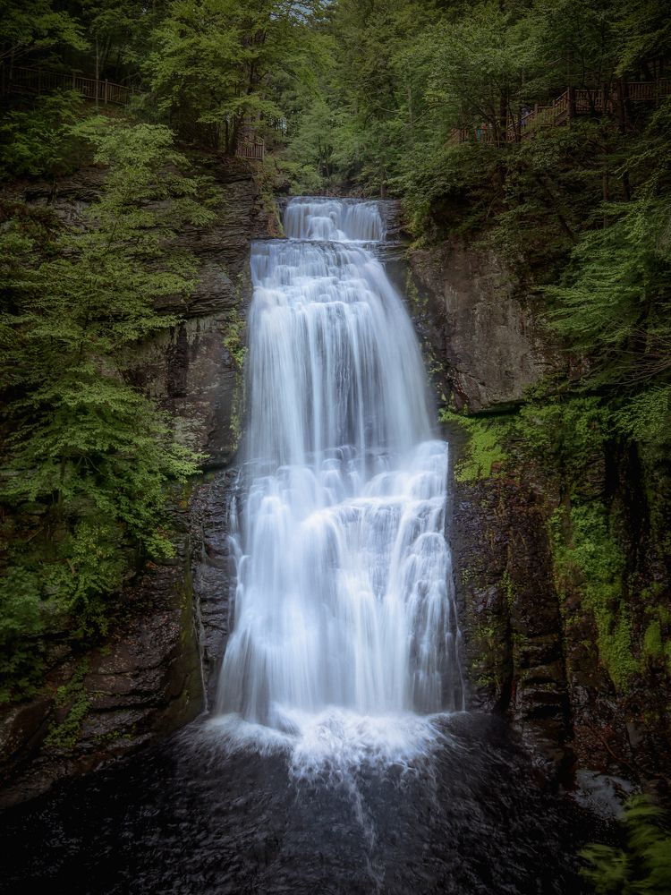 Photograph by Alisa Bryz-Gornia