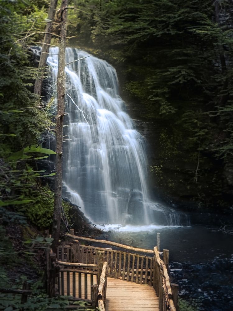 Photograph by Alisa Bryz-Gornia