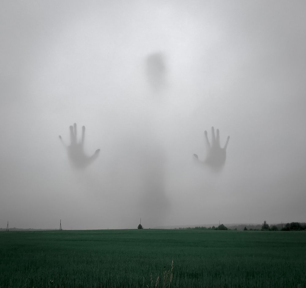 Photograph by Дмитрий Гришкевич