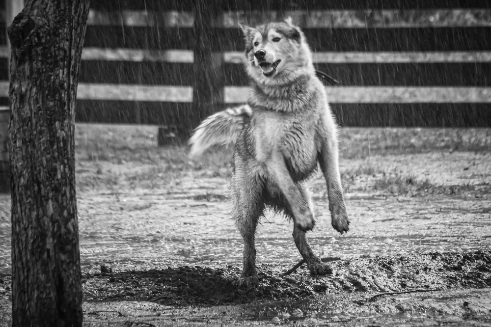 Photograph by Кирилл Богомазов