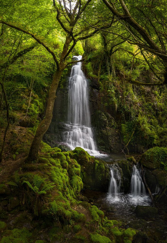 Fervenza de Gosolfre!!