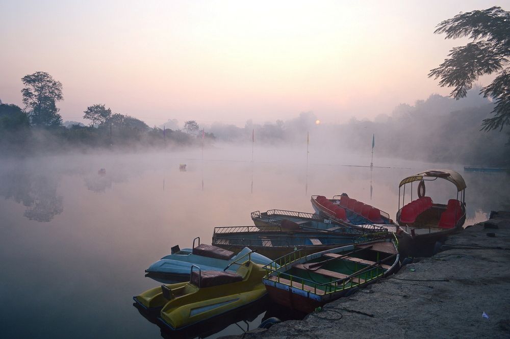 Foggy Morning at the River