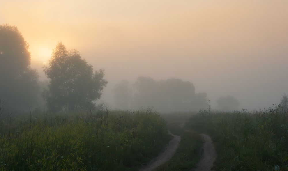 Photograph by Виталий Стрельцов