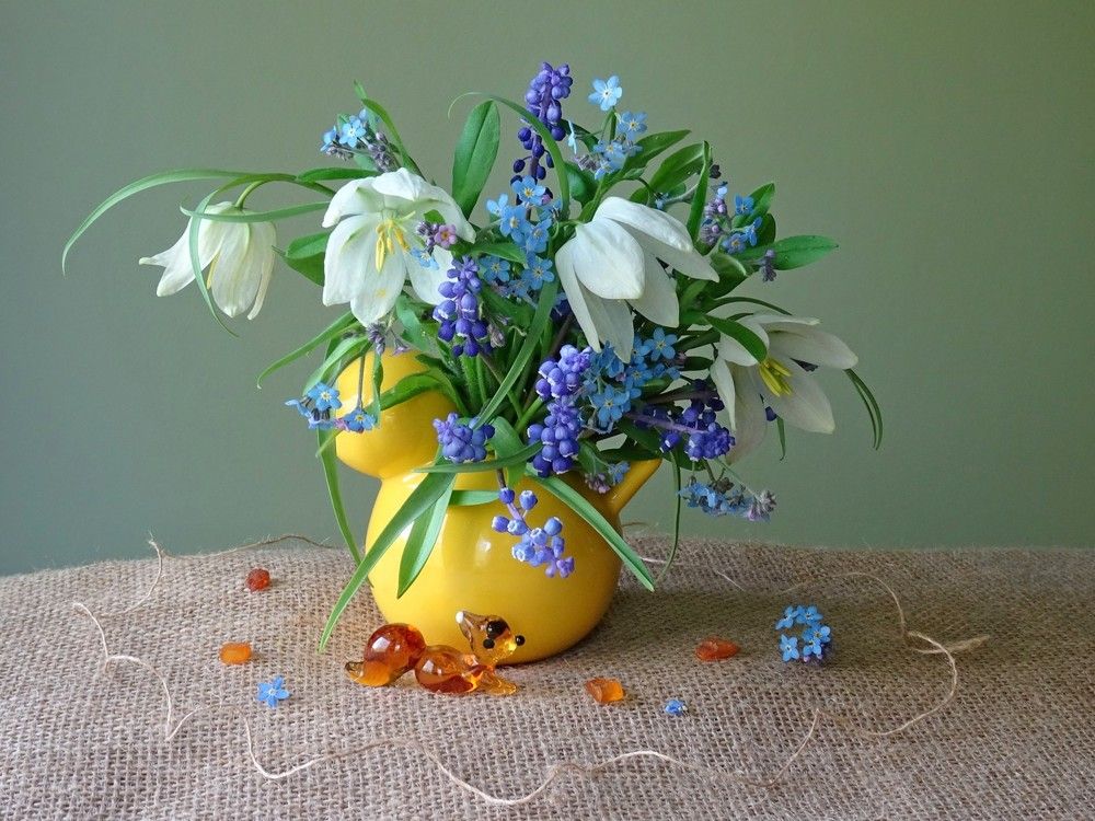 Весенние цветы