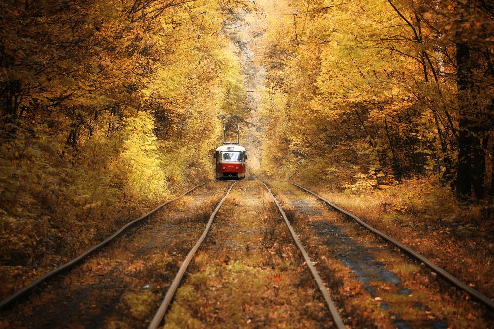 Autumm in Kyiv
