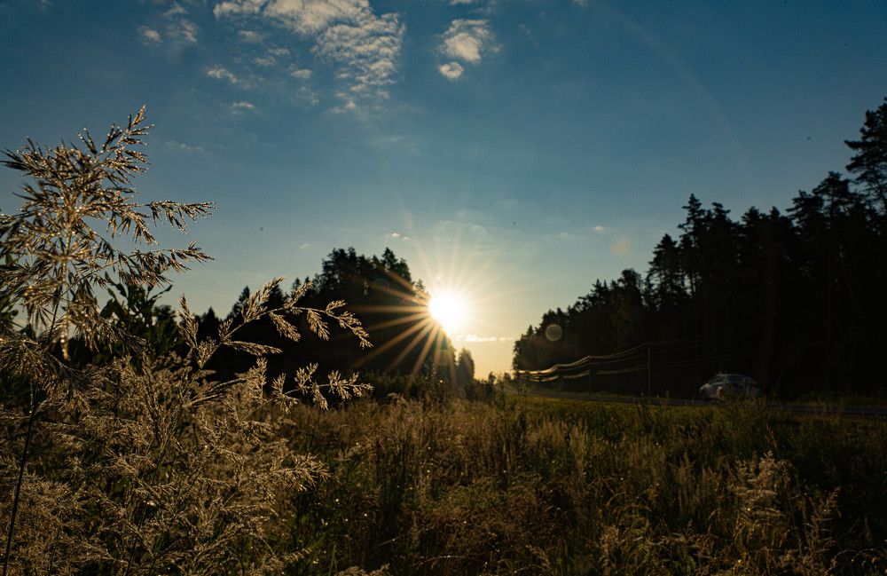 Утро в Подмосковье.03.07.21г.